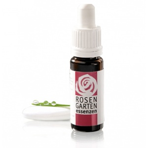 Centaury – Tausendgüldenkraut